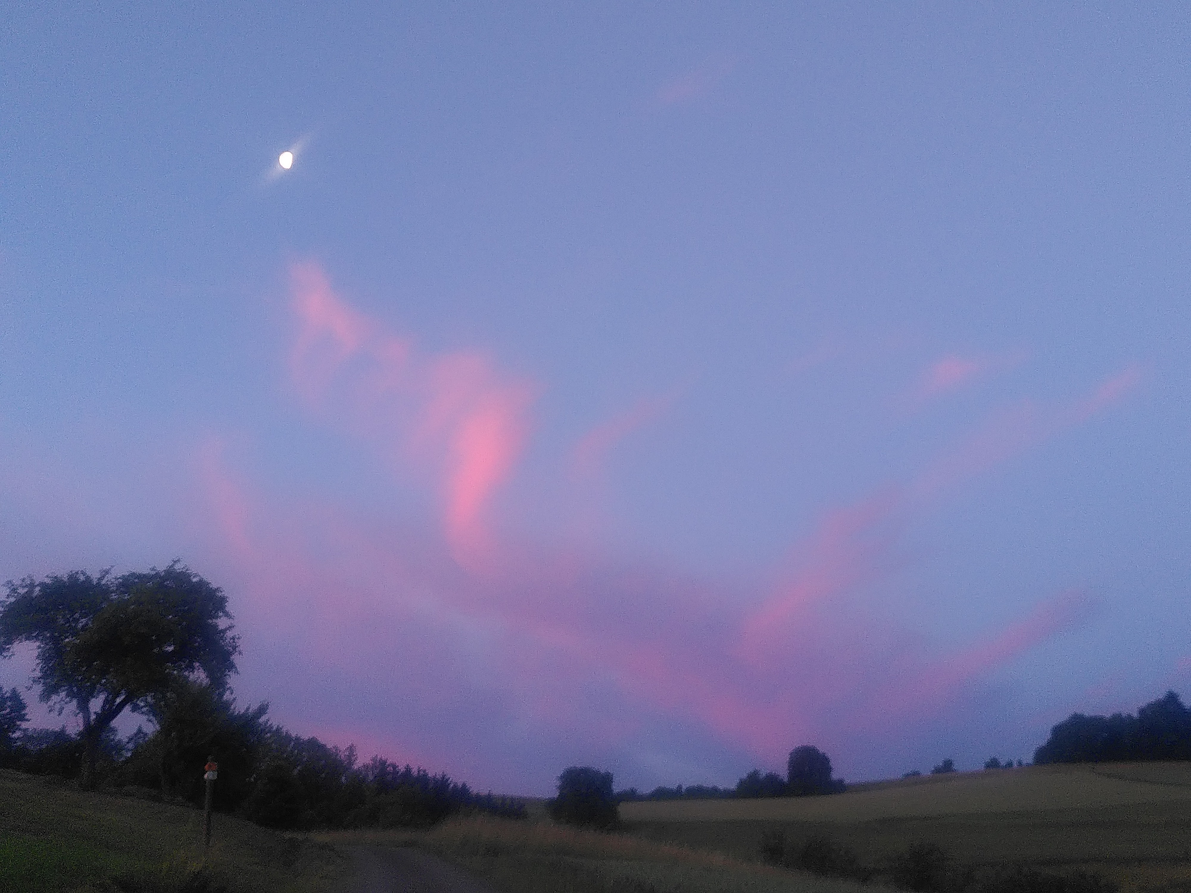 Morgenfrische mit Vogelmond